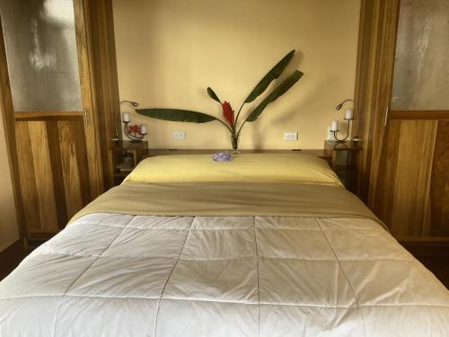 Casa Teca bed
